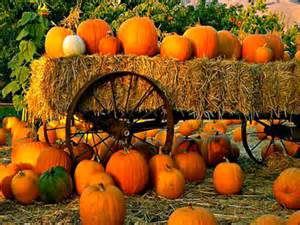 Autumn poem