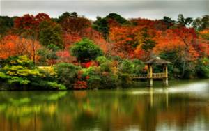 Autumn12