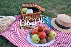 Deacon Picnic2