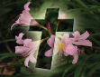 Easter1