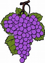 Grapes