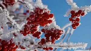 Pastors message - February