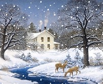 Pastors message - January