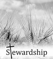 Stewardship