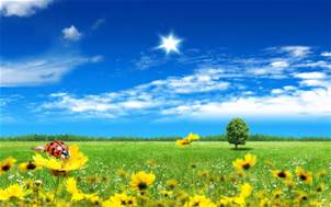 Summer poem