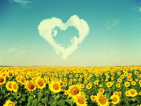 Summer poem2