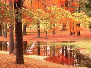 autumn3