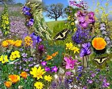 spring blessings2