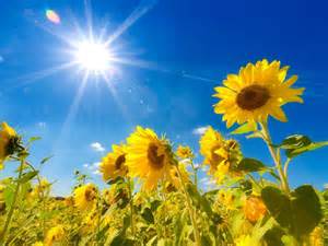 summer sun